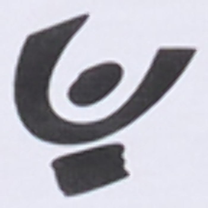 T-shirt Bambina Cropped con Logo FREDDY Degradé