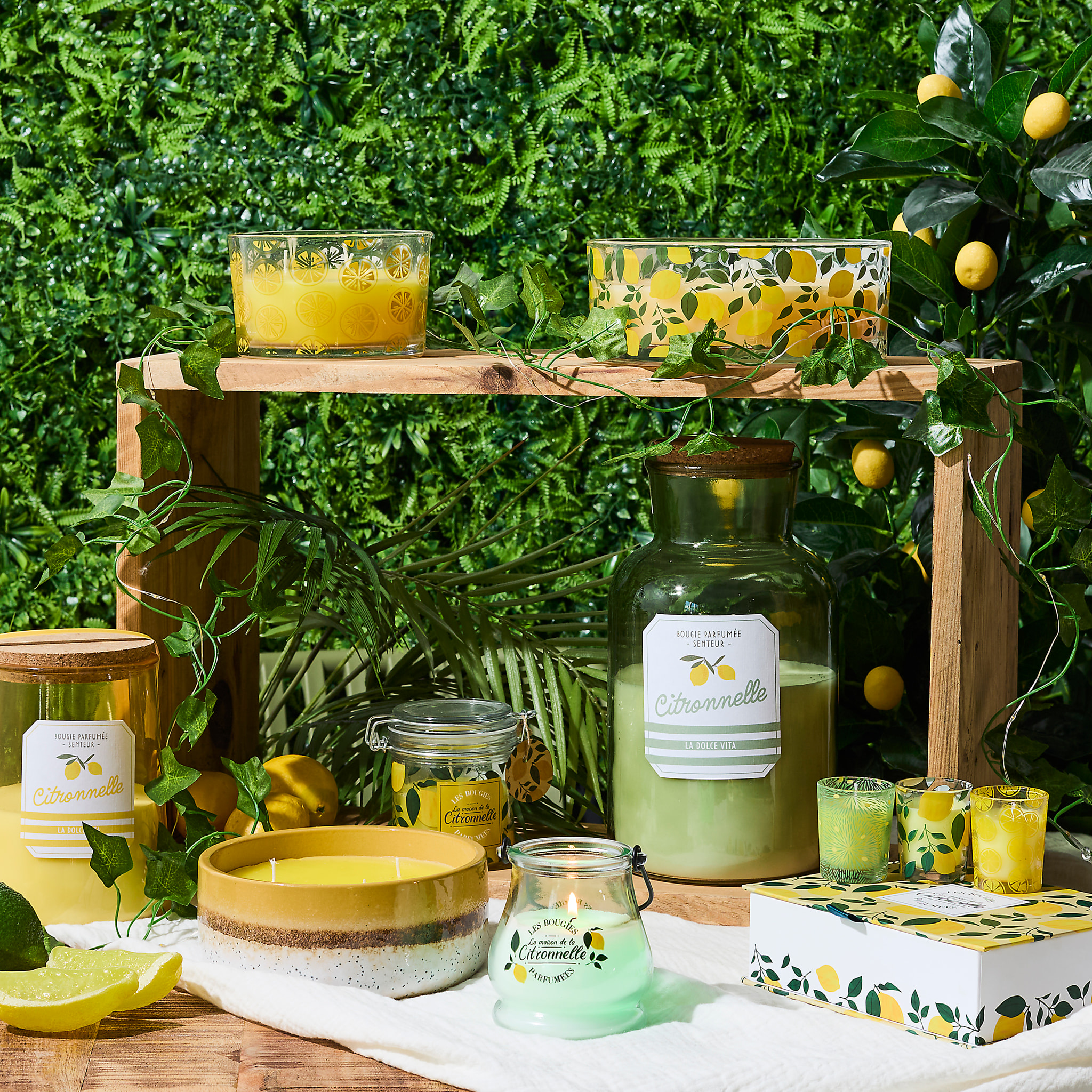 Bougie Parfumee Ceramique Citronnelle