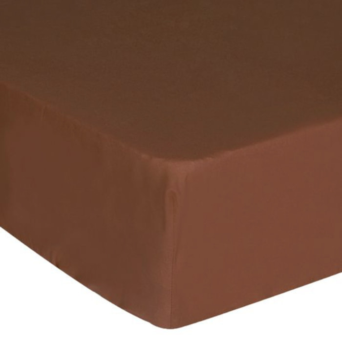Sottolenzuolo c/angoli IPERSAN Puro Cotone Caffe'