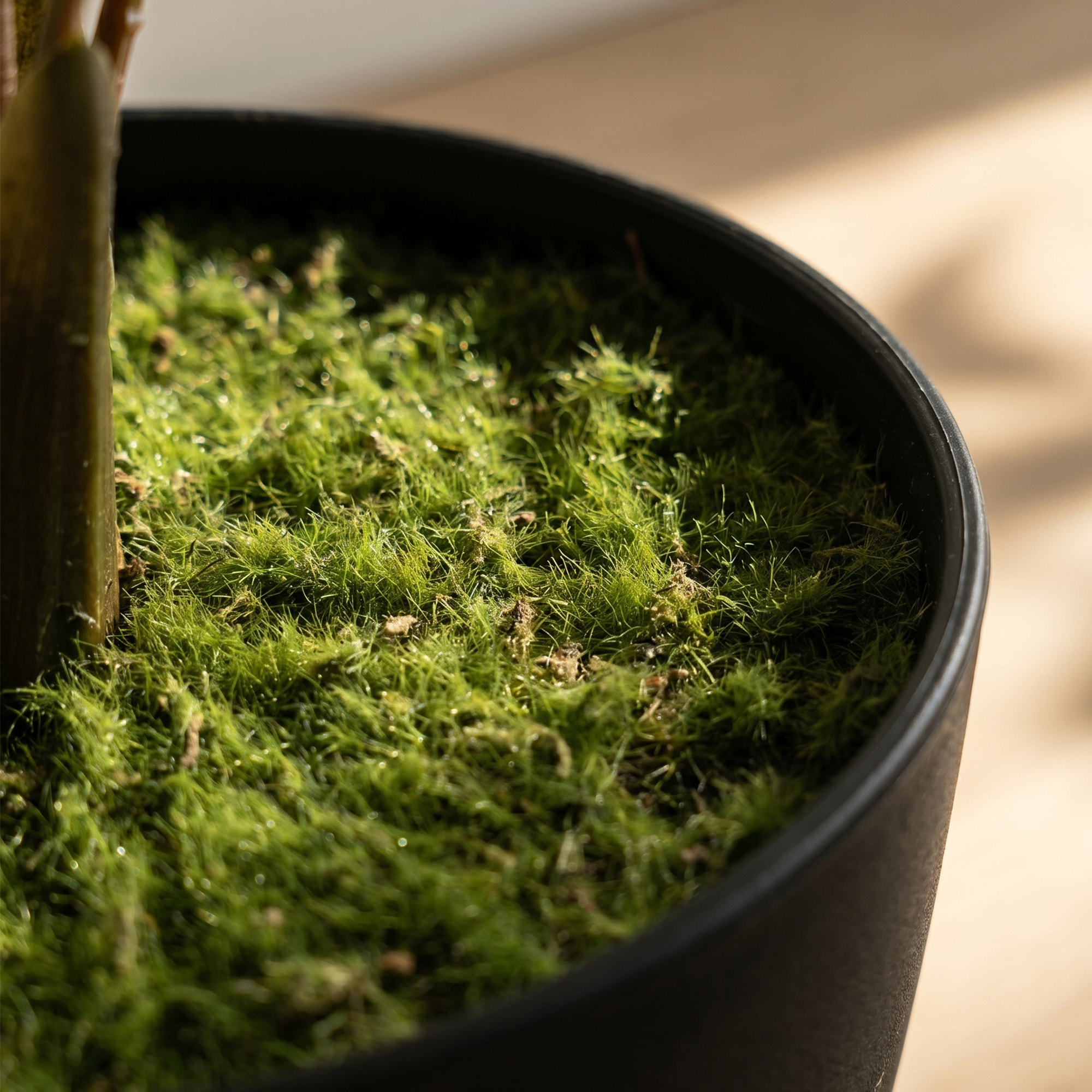 Plante artificielle fougère en pot H.90 cm