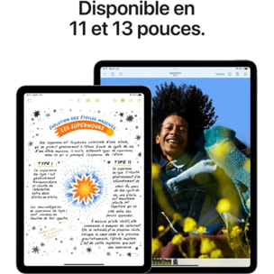 Tablette Apple IPAD Air 13 Bleu 256Go 2024