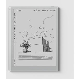 Liseuse eBook BOOX Go 10.3