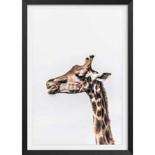 Affiche animaux prendre de la hauteur Affiche + cadre en bois - Noir