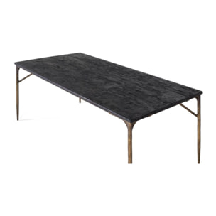 TABLE 76x200x100