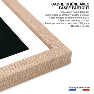 Affiche collection grenade coupée Affiche sous cadre bois