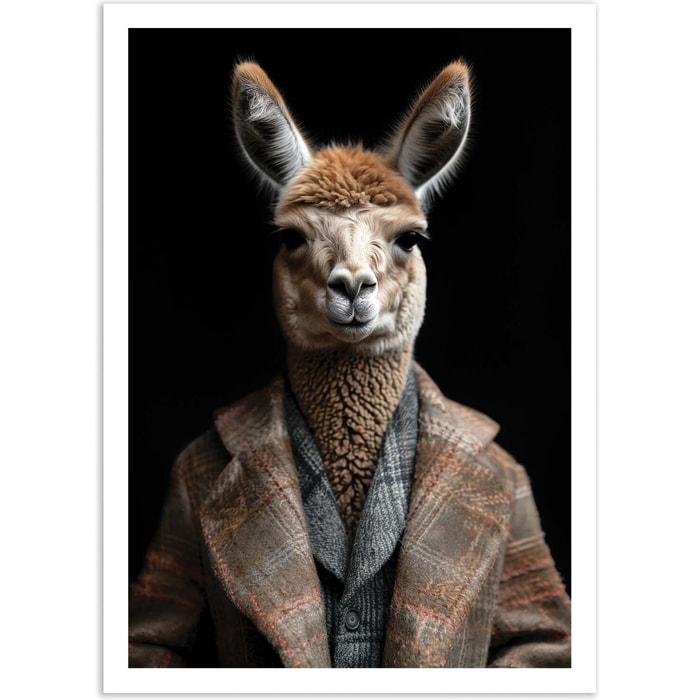 Affiche - Llama Wild Suits - Philippe Hugonnard