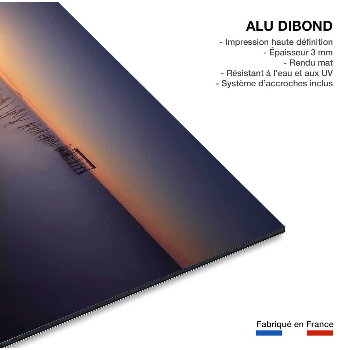 Tableau lumière violette Tableau alu Dibond