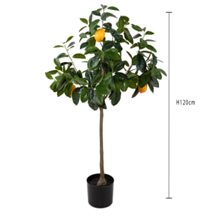 Pianta limone con frutti - Pezzi 1 - Colore: Verde - Bianchi Dino