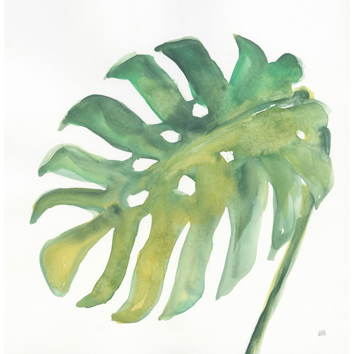 Tableau plame watercolor Toile imprimée