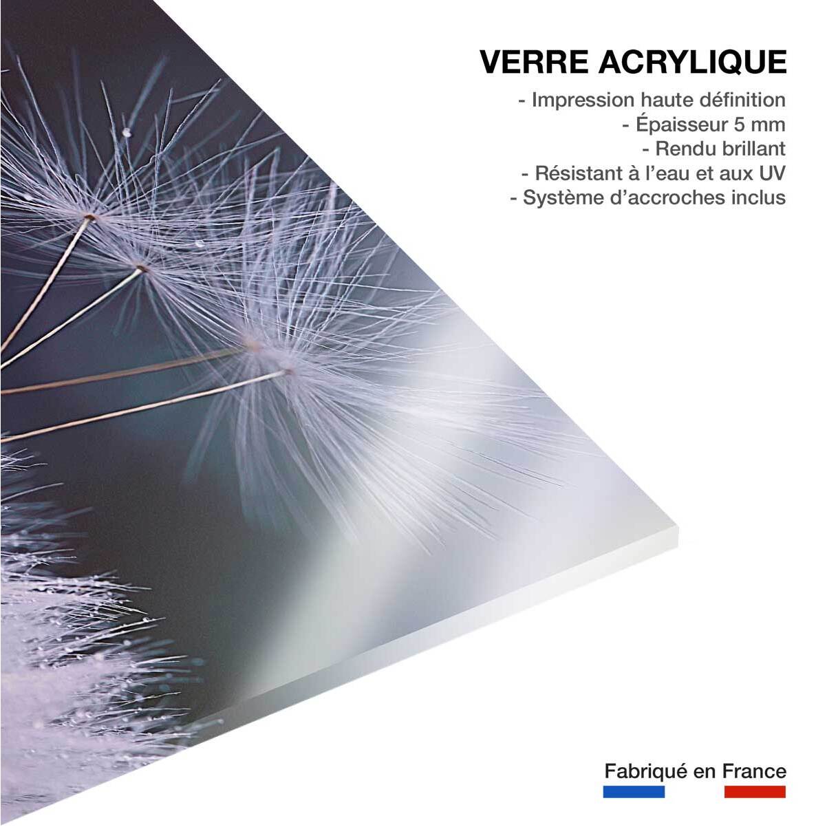 Tableau fleurs dandelion seeds Tableau plexiglas