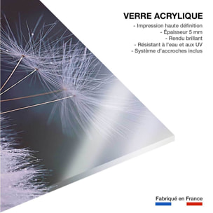 Tableau fleurs dandelion seeds Tableau plexiglas