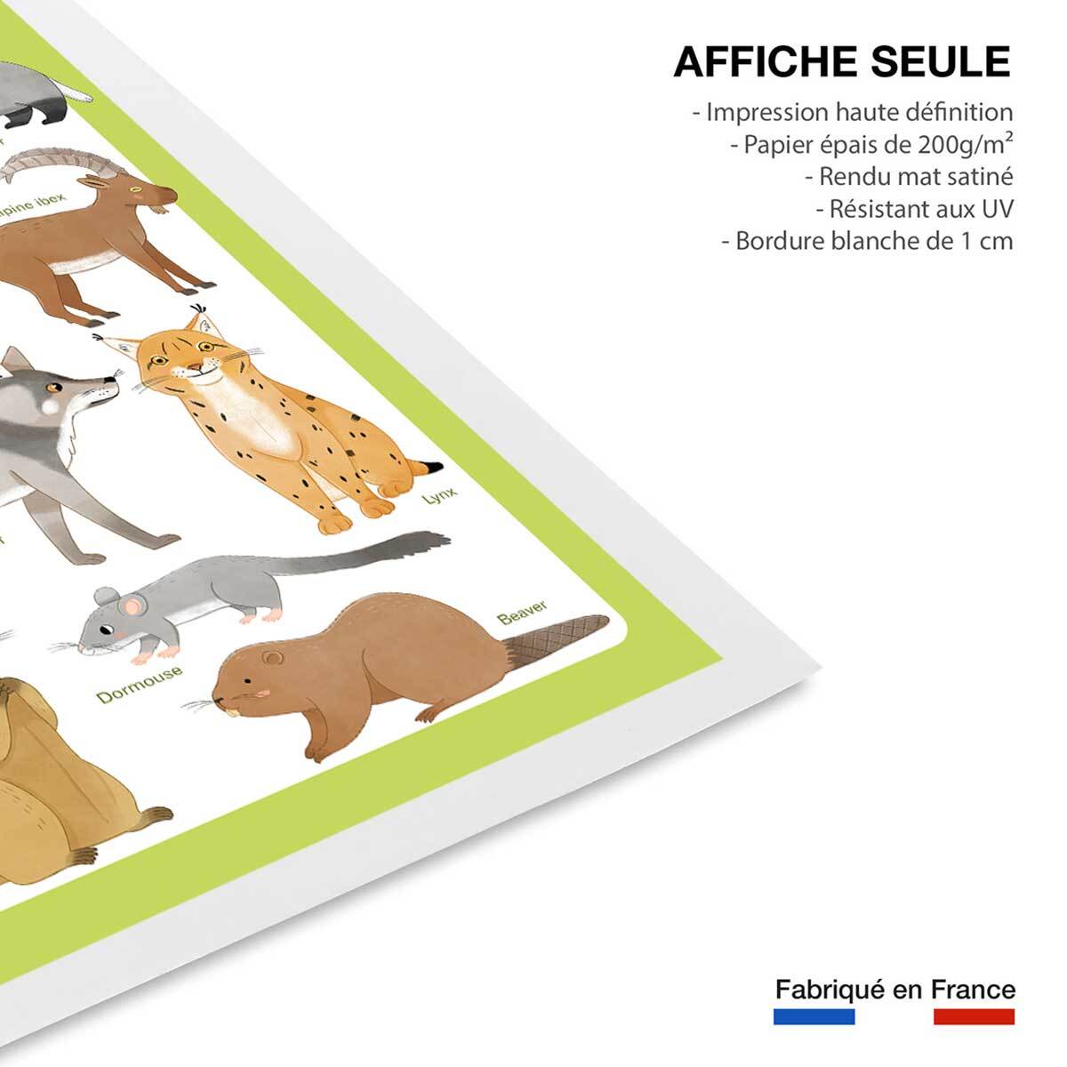 Affiche enfant animaux d'europe  Affiche seule