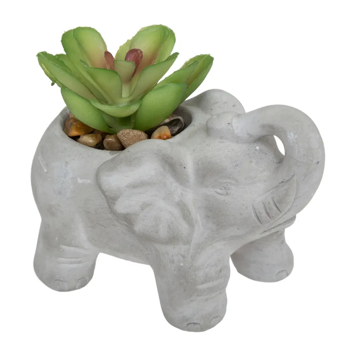 Plante artificielle "Éléphant" - pot en ciment - H10 cm