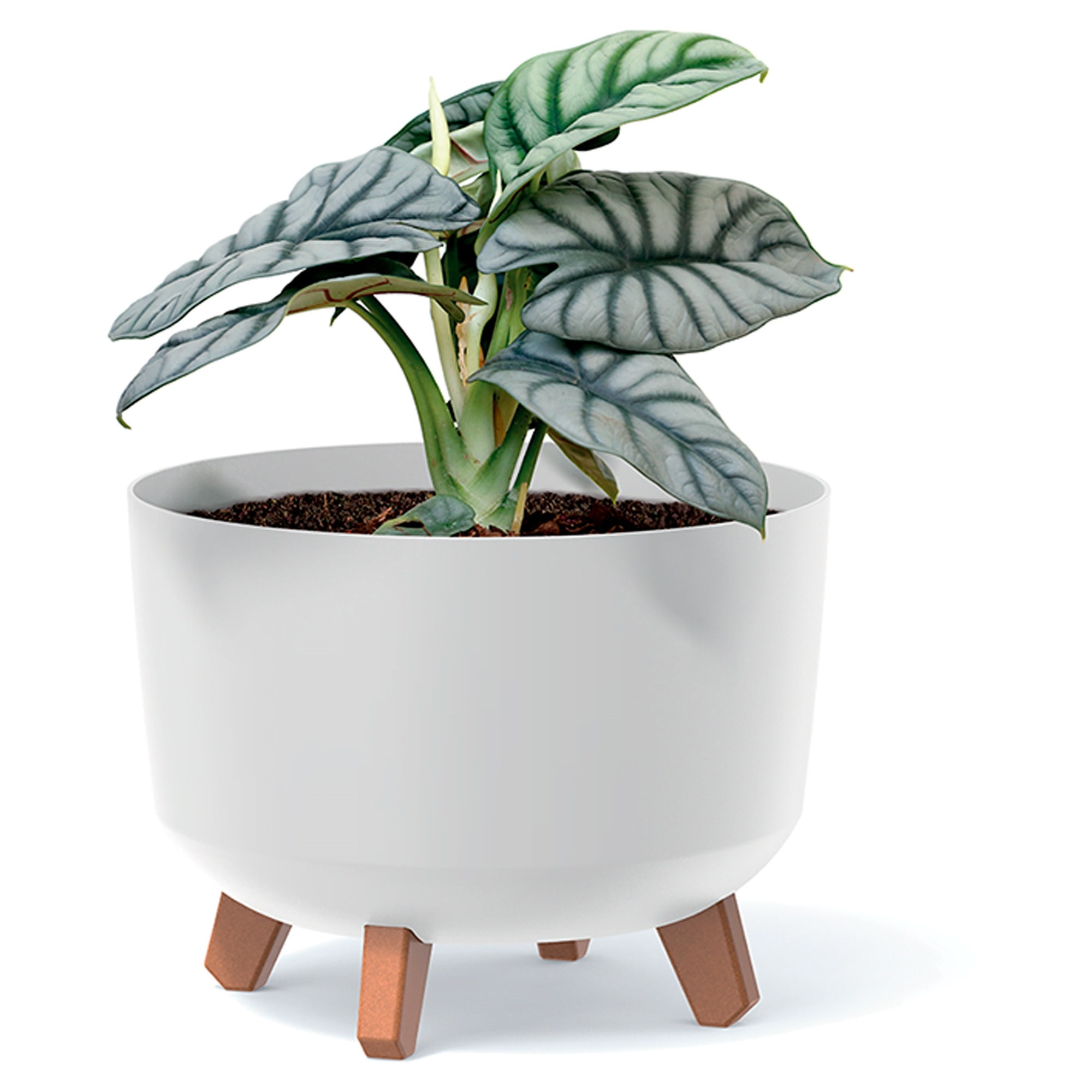 Macetero color blanco roto,sin depósito , colección gracia de 28,5 x 28,5 x 22 cm, capacidad de 9,8 l.