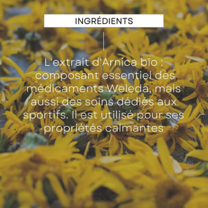 WELEDA -  Arnica crème 70G