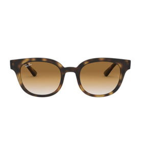 Gafas de sol Ray Ban Unisex RB4324-50-710-51