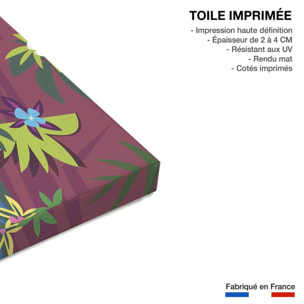 Tableau toucan à rio de janeiro Toile imprimée