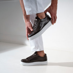 Classic Lace-up Sneaker British Passport Testa di moro