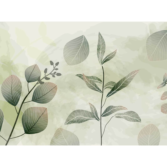 Papier peint panoramique Brume d’eucalyptus  Intissé