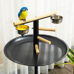 Perchoir sur pied pour perroquets, oiseaux - 4 roulettes - 2 mangeoires, 4 perchoirs, plateau acier - anthracite