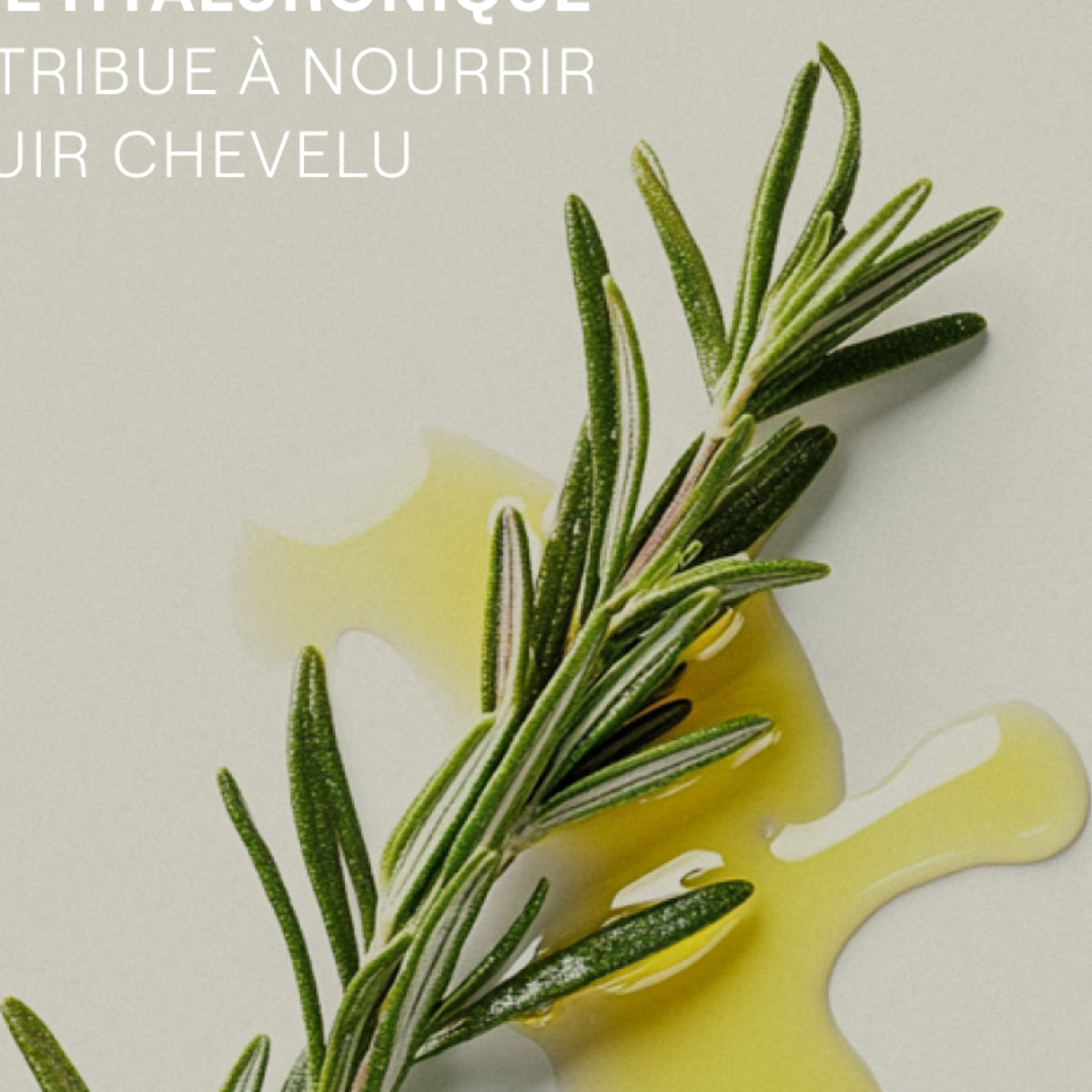 WELEDA - Shampooing au Romarin - 250 ml