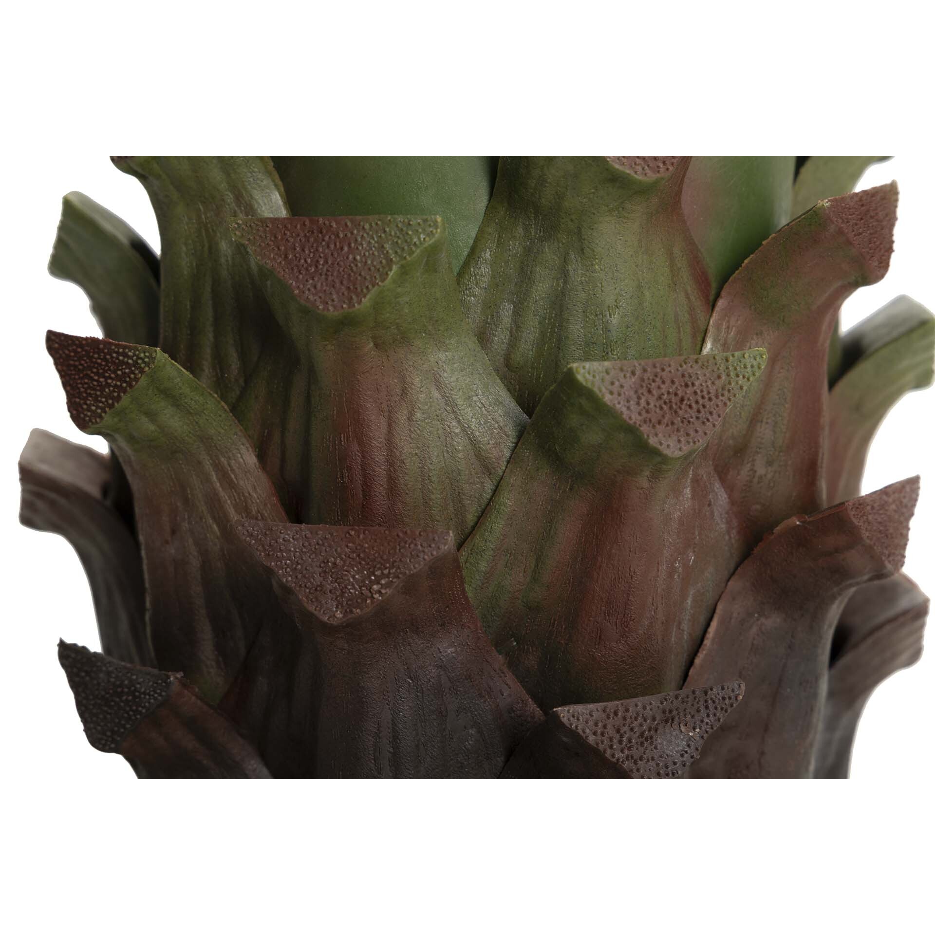 Planta Agave Attenuata 75x75x82 Cm