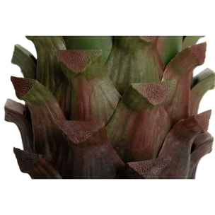 Planta Agave Attenuata 75x75x82 Cm