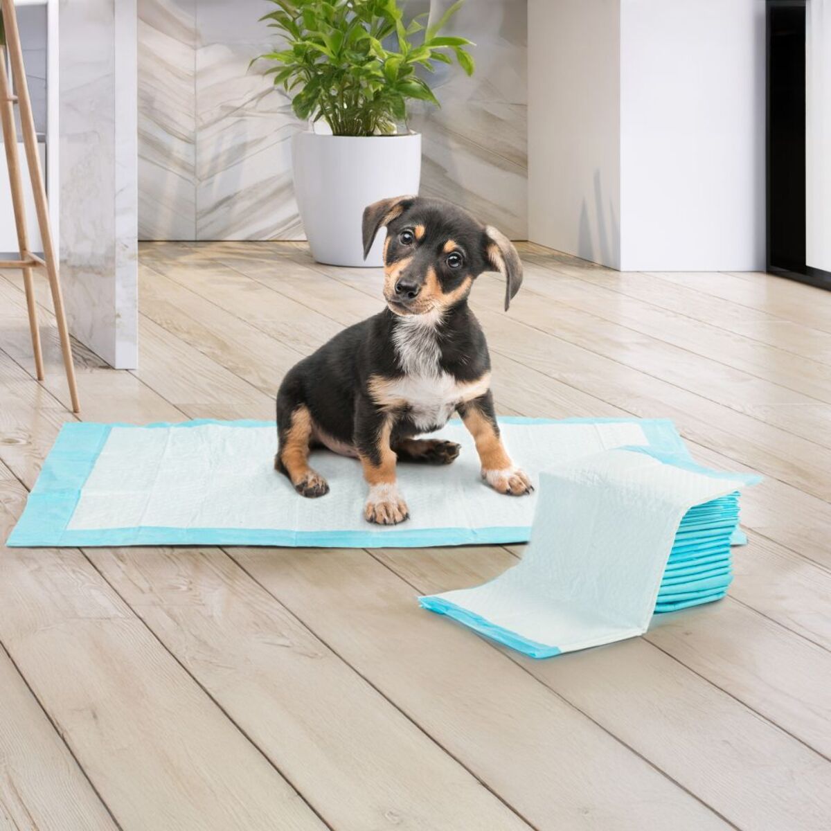 Tapis éducateurs pour chiens - Lot de 100