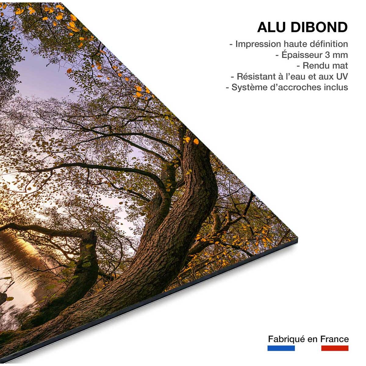 Tableau Au bout du lac Tableau alu Dibond