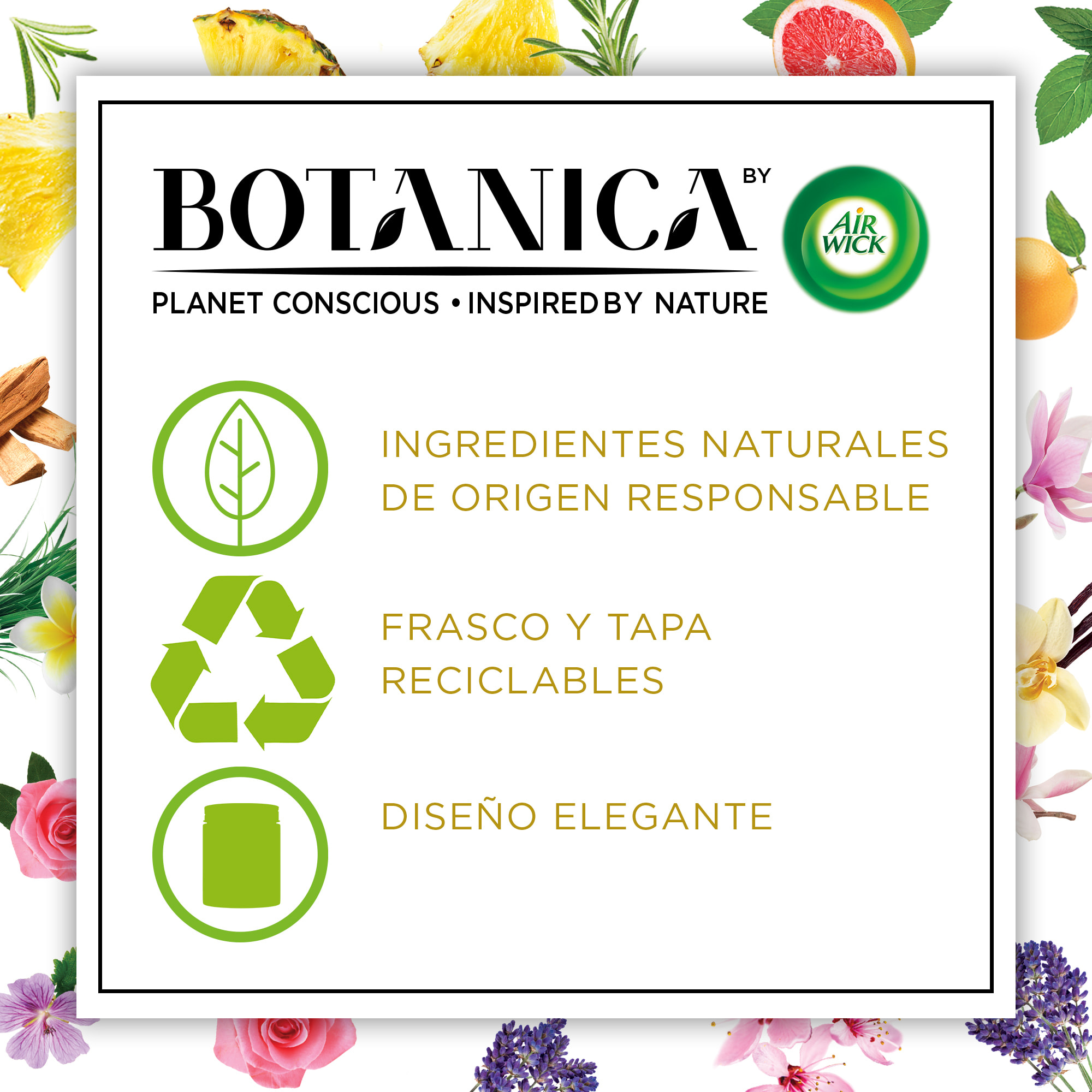 Botanica by Air Wick Vela aromática de cera natural, aroma Vetiver Caribeño y Sándalo