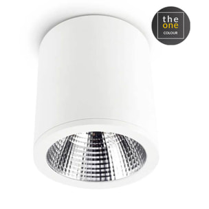 LEDS C4 Plafon Exit 25.9W 3000K Cri 90 Blanco Ip23 1728Lm