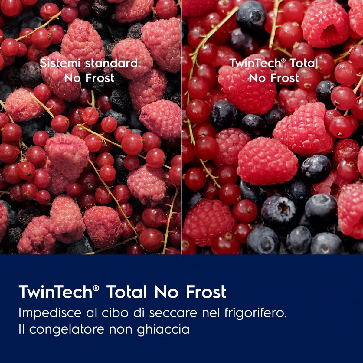 Rex Frigocongelatore REX® Retrò Serie 600 TwinTech® Total No Frost 175.1 cm RDTF24/7C