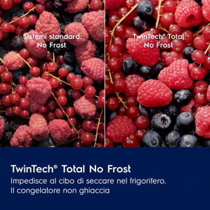 Rex Frigocongelatore REX® Retrò Serie 600 TwinTech® Total No Frost 175.1 cm RDTF24/7C