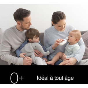 Mouche bébé BRAUN 1 - BNA100