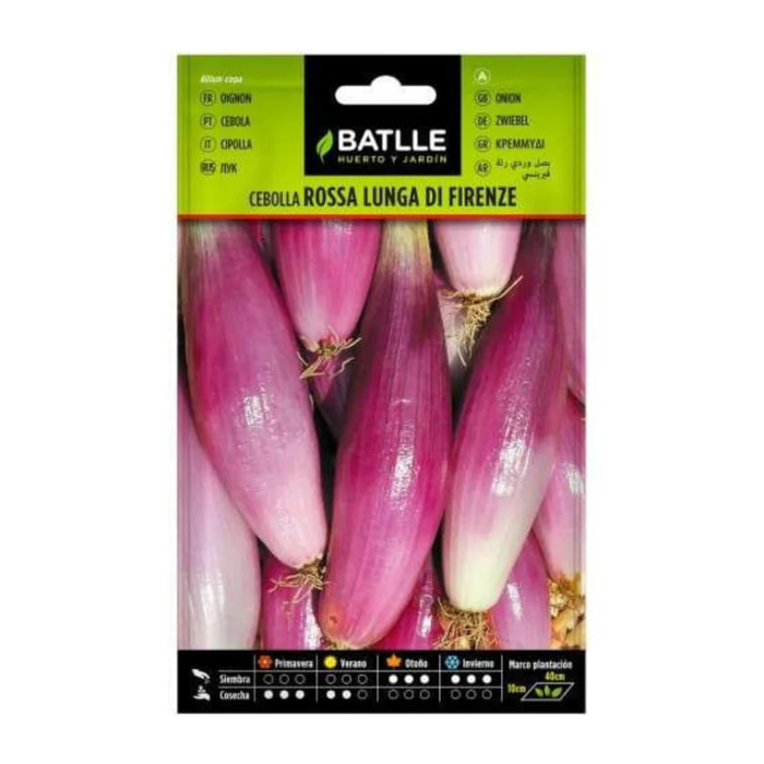 Semillas de Cebolla rosa Lung Firenza Batlle