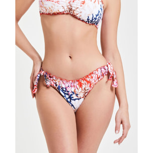 BRASILIANA SAMOTRACIA