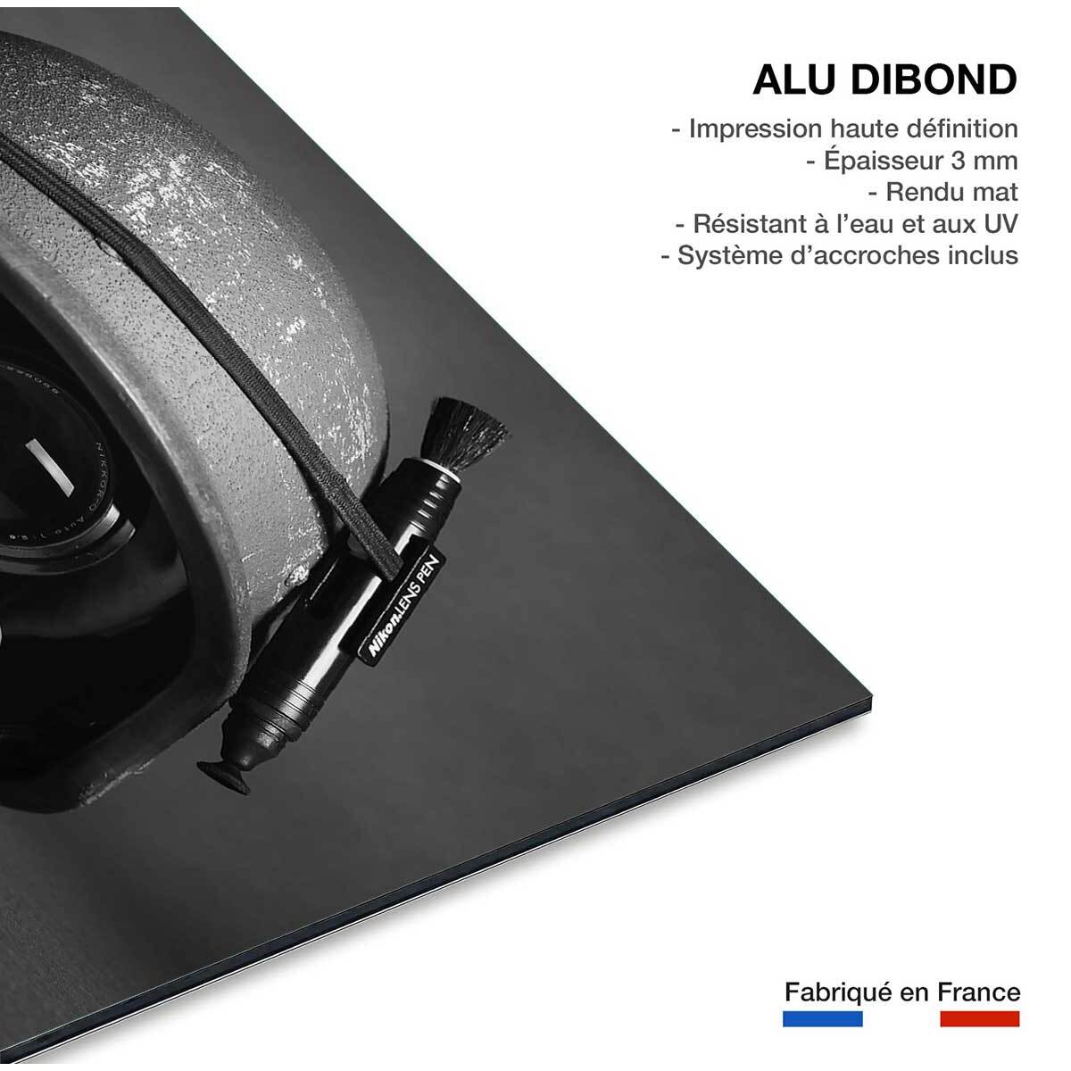 Tableau reporter de guerre Tableau alu Dibond