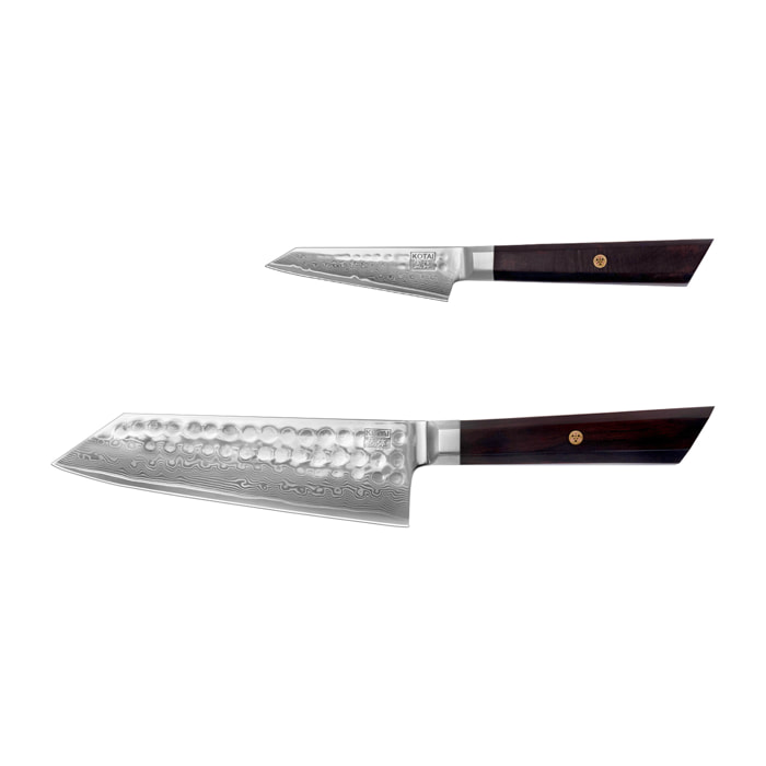 Set di coltelli di base (2 coltelli) - Collezione Bunka Damasco