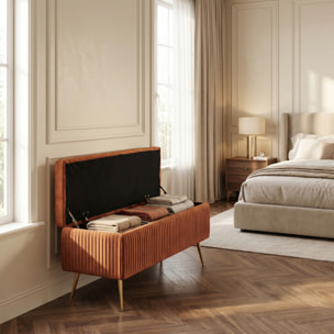 Panca Contenitore in Effetto Velluto a Coste con Ampio Vano Contenitore, Seduta Imbottita e Gambe in Acciaio, Design Moderno per Camera da Letto, Ingresso e Soggiorno
