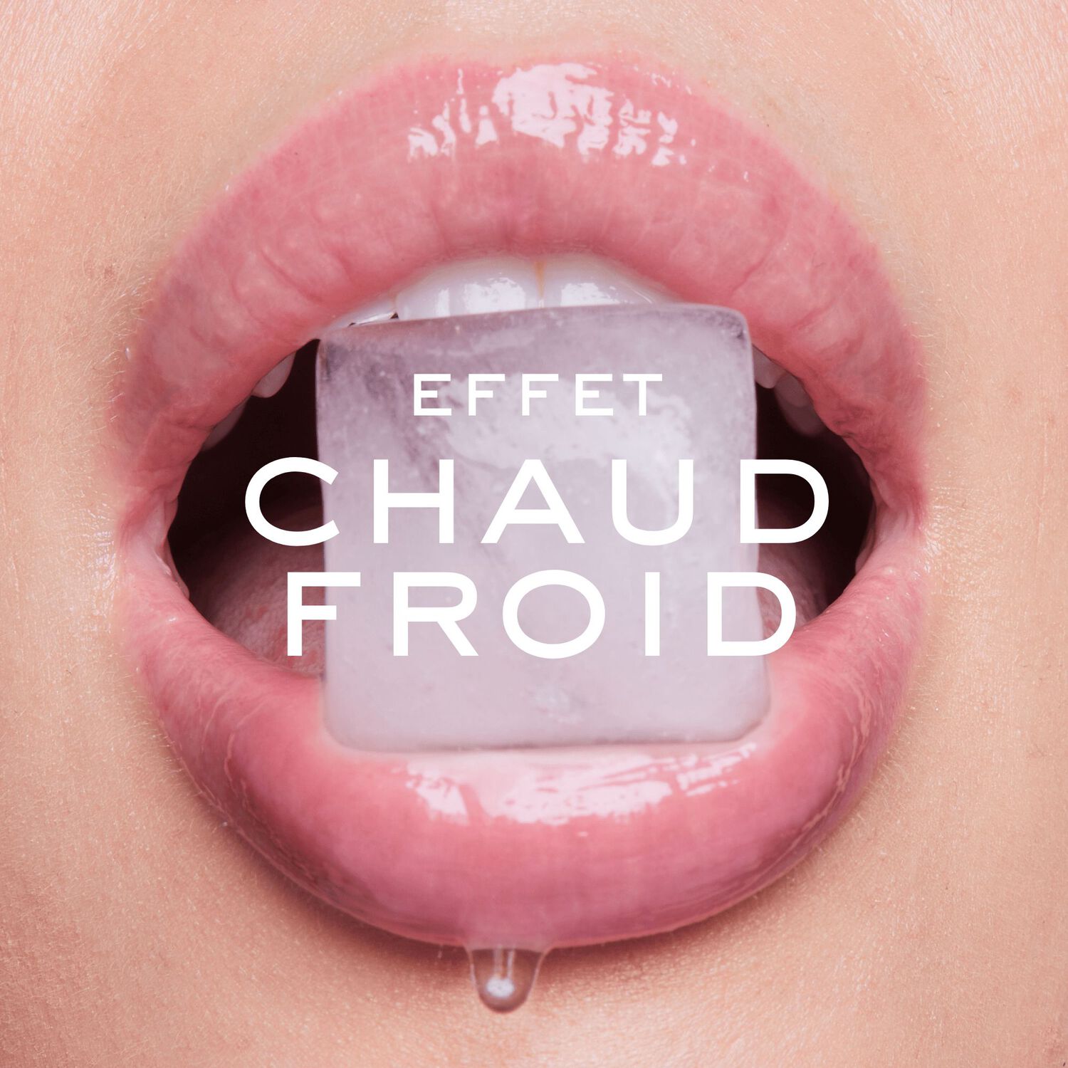 Very Rose - Sérum Lèvres Repulpant avec étui & charms Édition Limitée