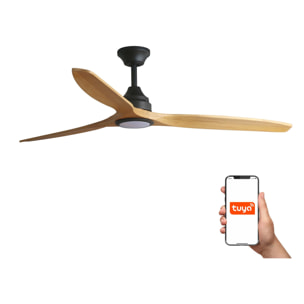 ALO L Ventilateur de plafond noir/bois TUYA CCT