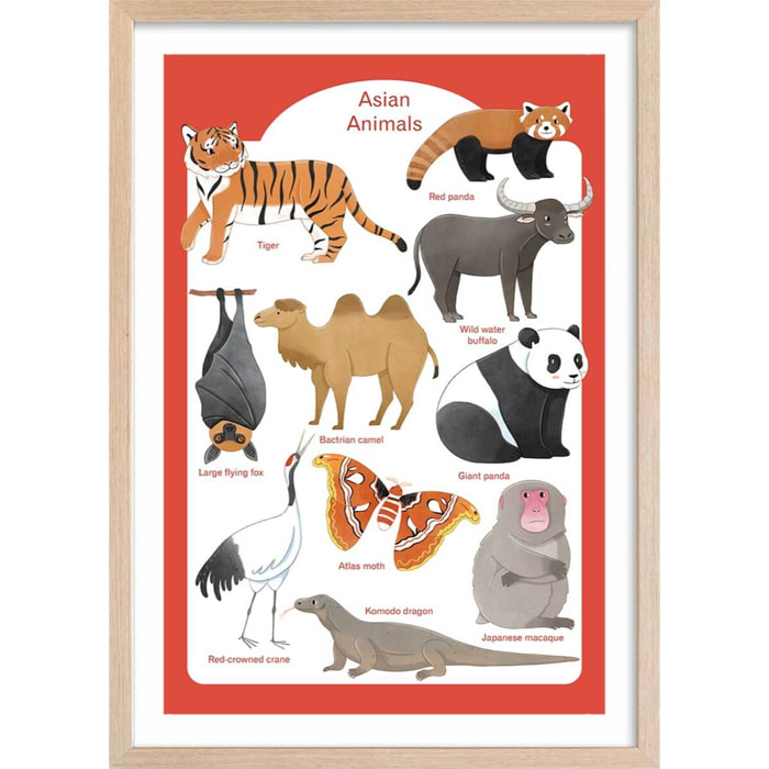 Affiche enfant animaux d' asie  Affiche + cadre en bois - Chêne