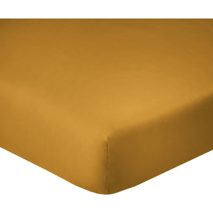 Drap housse coton safran