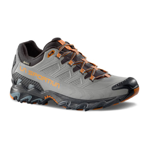 Ultra Raptor II Leather Goretex Hombre Zapatillas Trekking