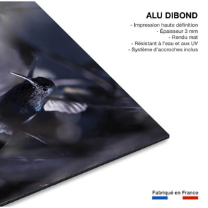 Tableau animaux - La petite étoile d' equateur Tableau alu Dibond