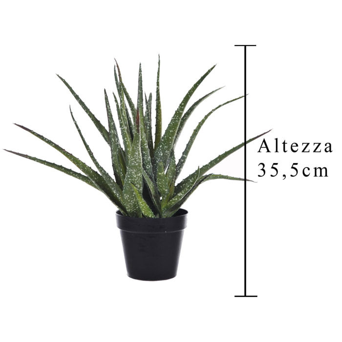 Hawortia Aloe Con Vaso. Altezza 35,5 Cm - Pezzi 1 - 14X35,5X14cm - Colore: Verde - Bianchi Dino - Piante Artificiali