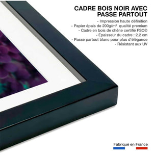 Affiche fleurs de lilas au printemps Affiche sous cadre noir