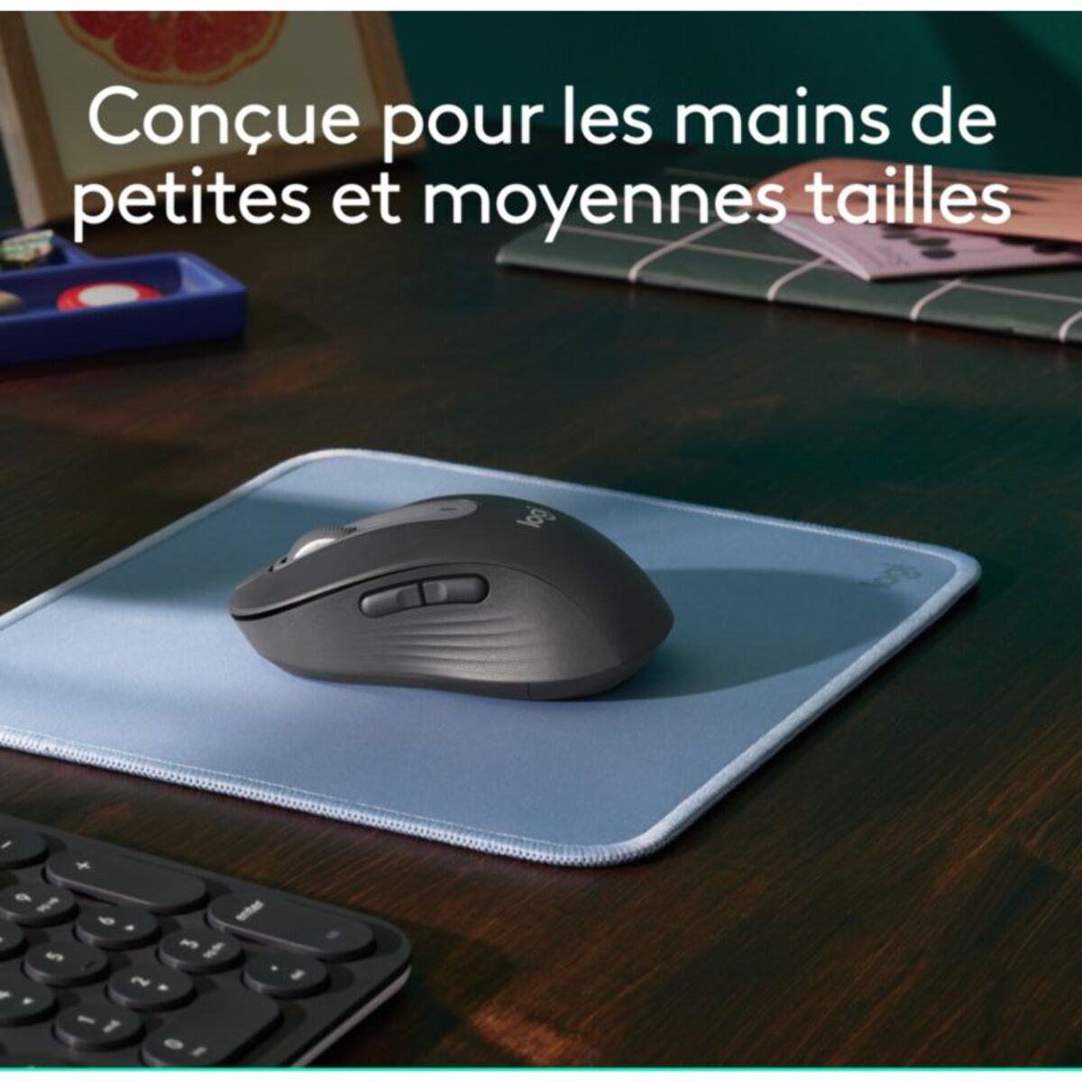 Souris sans fil LOGITECH Signature M650 Graphite