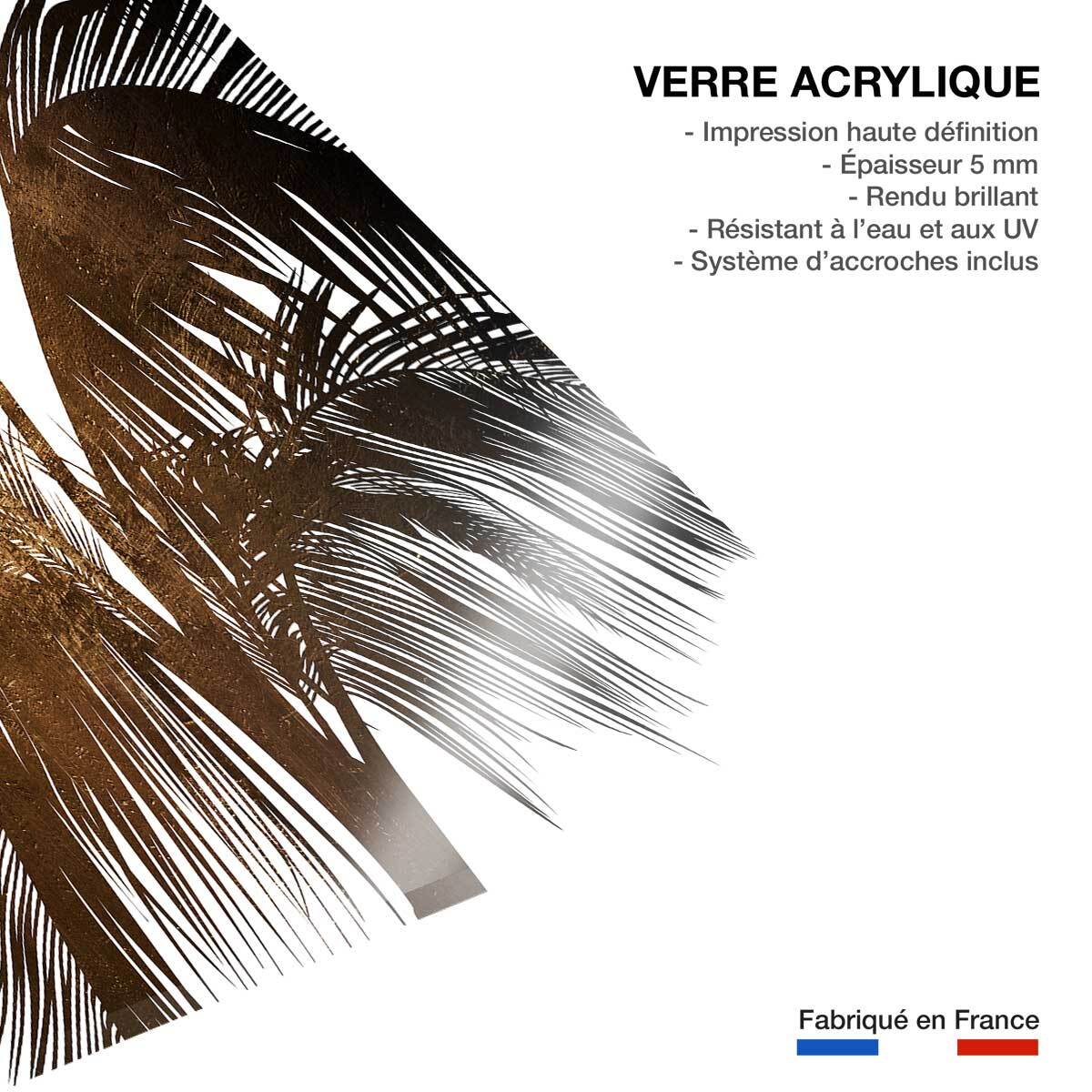 Tableau tropicale palme de bronze Tableau plexiglas