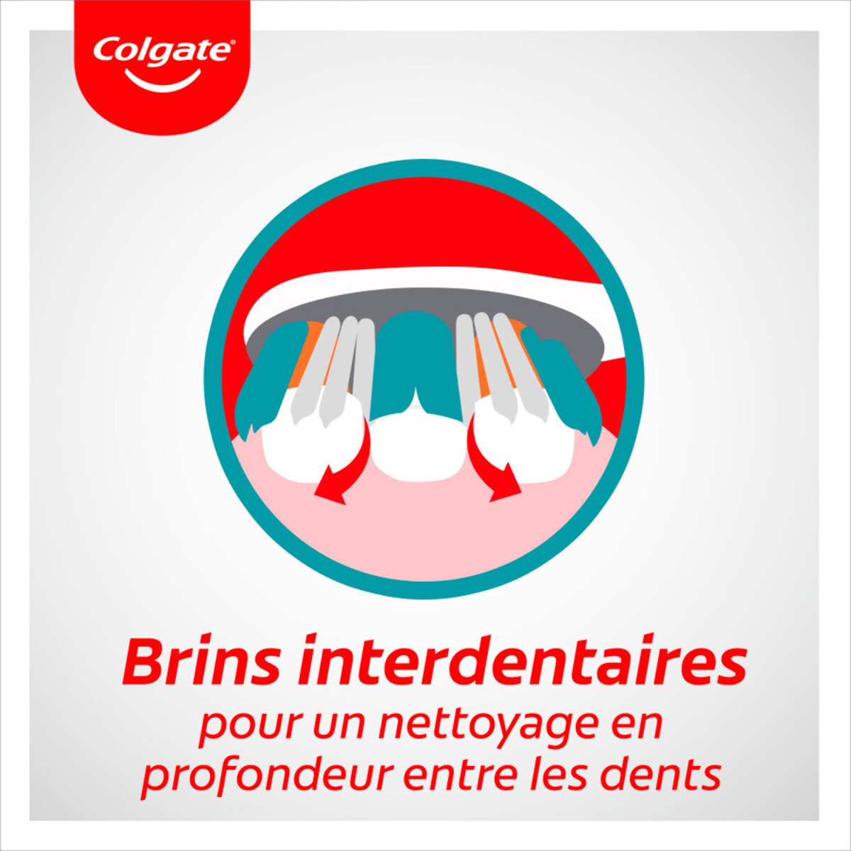 Pack de 12 - Colgate - Brosse à dents 360° Medium